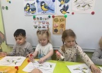 img (4)